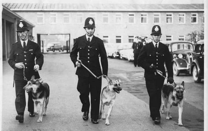 British Police Dog Handler