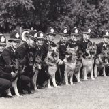 line of police dogs and police dog handlers