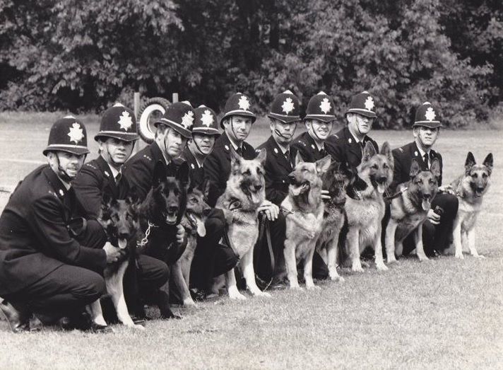 police dogs and police officers in a line