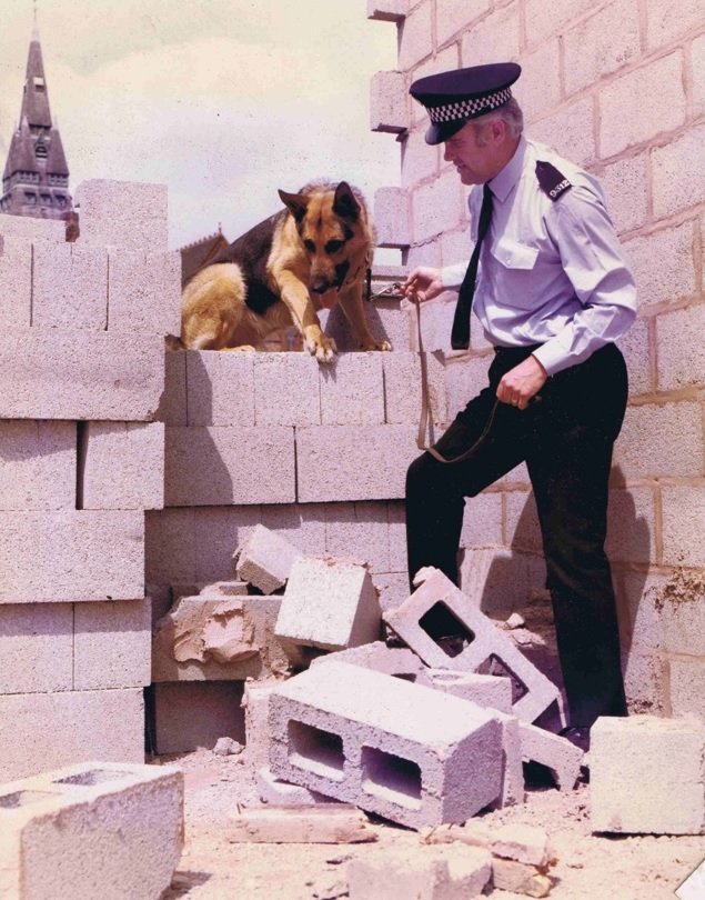 police dog and officer searching brick walls