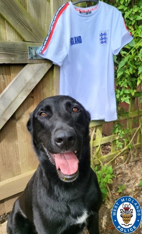 police dog posing next to england police shirt