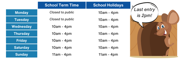 Open during school term time; Wednesday - saturday 10am until 4pm, and sundays from 11am

Open during school holidays Monday to Saturday, 10am - 4pm, and Sundays from 11am.

Last entry is 2pm.