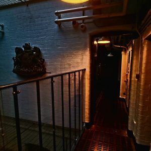 The Macabre Museum- Stories of Murder and Mayhem